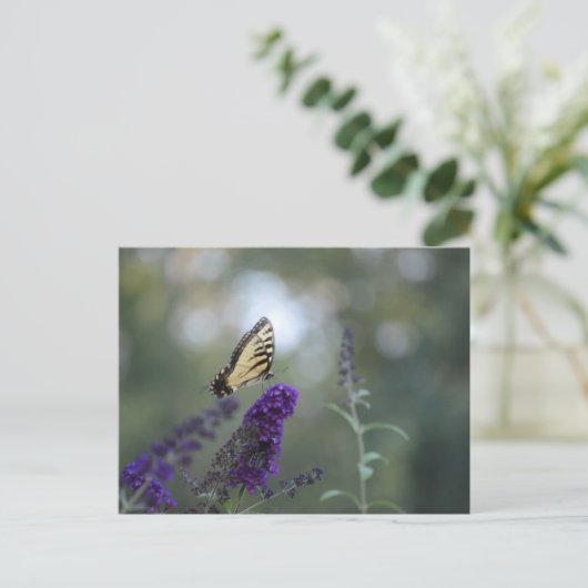 Boterfly Briefkaart Buddleia met Bokeh Beauful (Staand voorkant)