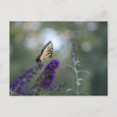 Boterfly Briefkaart Buddleia met Bokeh Beauful (Voorkant)
