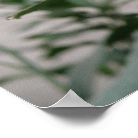 Boterfly Camouflage afdrukken Poster (Hoek)