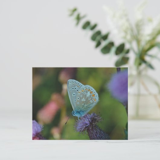 Boterfly Common Blue briefkaart (Staand voorkant)
