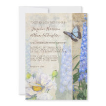 Boterfly Dragonfly Blue White Flowers Weddenschap