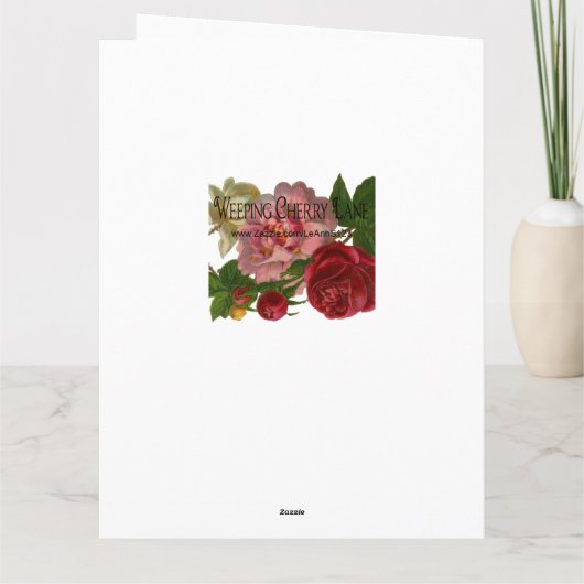 Boterfly Fairy and Centaur Birthday Kaart (Achterkant)