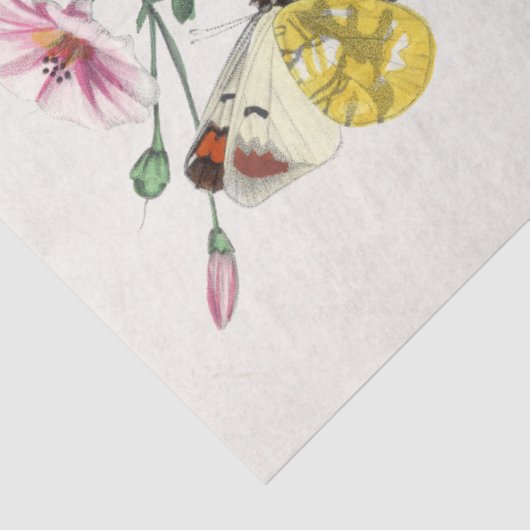 Boterfly Flowers Moths Rustic Decoupaging Tissuepapier (Detail)