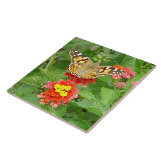 Boterfly Flowers Tile Tegeltje (Zijkant)