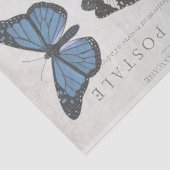 Boterfly  Frans Carte Postale Decoupage T Tissuepapier (Detail)