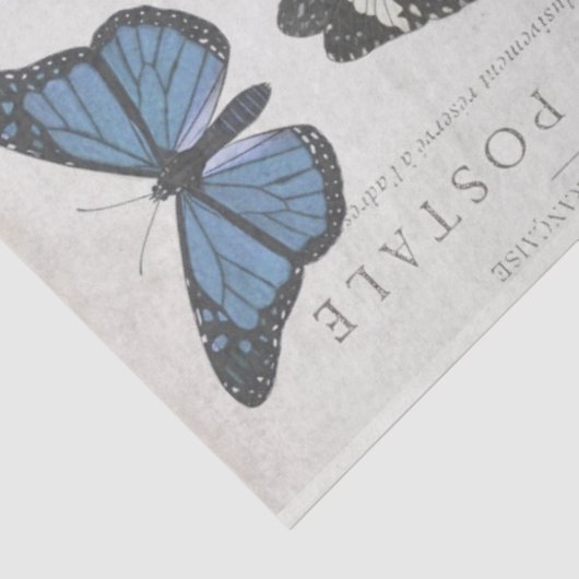 Boterfly Frans Carte Postale Decoupage T Tissuepapier (Detail)