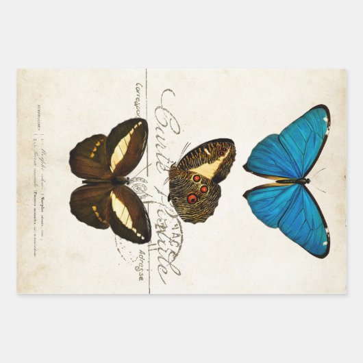 Boterfly Franse carte Postale ontkoppeling Inpakpapier Vel (Voorkant 3)