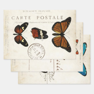 Boterfly Franse carte Postale ontkoppeling Inpakpapier Vel