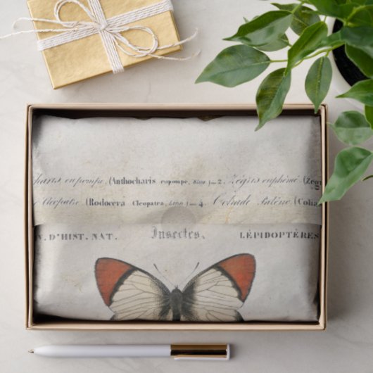 Boterfly  Franse carte Postale ontkoppeling Tissuepapier (Geschenk)