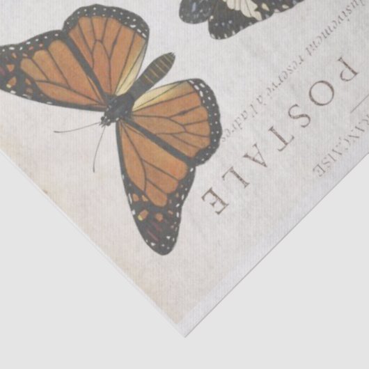 Boterfly Franse carte Postale ontkoppeling Tissuepapier (Detail)