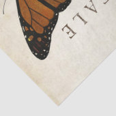 Boterfly  Franse carte Postale ontkoppeling Tissuepapier (Detail)