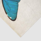 Boterfly Franse carte Postale ontkoppeling Tissuepapier (Detail)