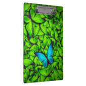Boterfly Green Blue Hive | Klembord voor vlinder (Rechts)