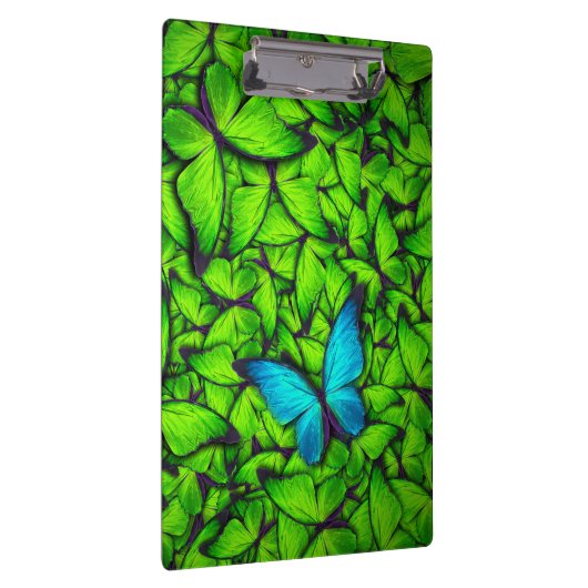 Boterfly Green Blue Hive | Klembord voor vlinder (Rechts)