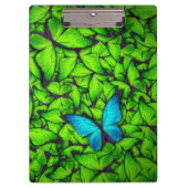 Boterfly Green Blue Hive | Klembord voor vlinder (Voorkant)