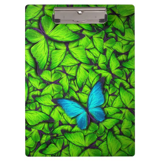 Boterfly Green Blue Hive | Klembord voor vlinder (Voorkant)