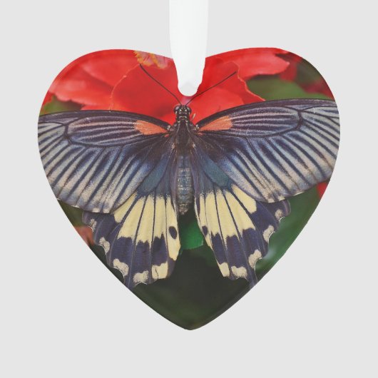 Boterfly Heart Shaped Ornament (voorkant)