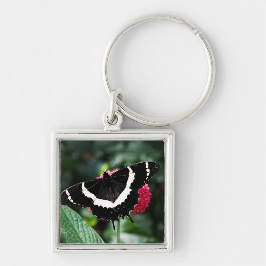 Boterfly Lolipop-Sleutelhanger Sleutelhanger (Voorkant)