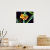 Boterfly Milkweed Buds en Blooms Poster (Keuken)