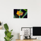 Boterfly Milkweed Buds en Blooms Poster (Thuiskantoor)