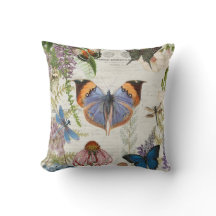 Boterfly Oranje Blauw Botanische  Florence Art