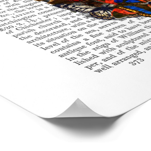 Boterfly Skull Poster (Hoek)