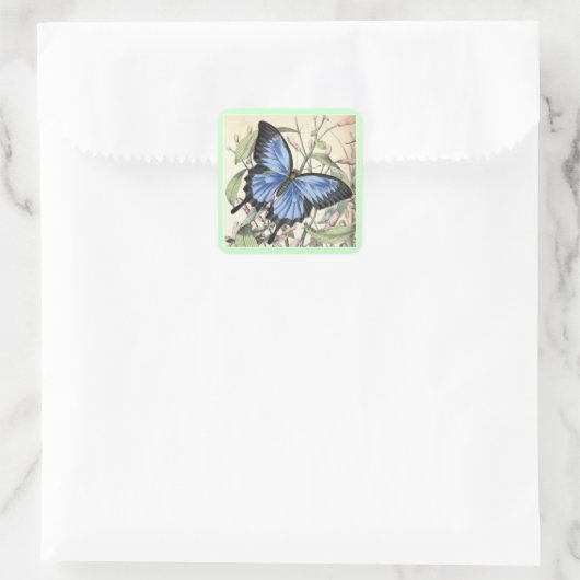 Boterfly Square Sticker. Vierkante Sticker (Tas)