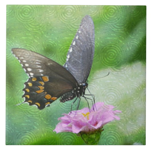 Boterfly Summer Tegel Tegeltje (Voorkant)