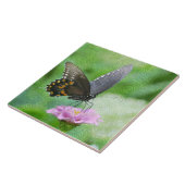 Boterfly Summer Tegel Tegeltje (Zijkant)