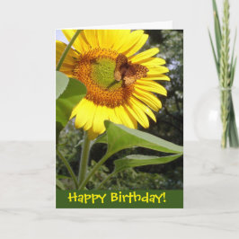 Boterfly Sunflower Birthday Kaart
