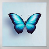 Boterfly tegen witte achtergrond poster (Voorkant)