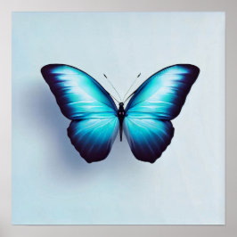 Boterfly tegen witte achtergrond poster