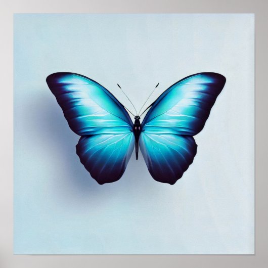 Boterfly tegen witte achtergrond poster (Voorkant)