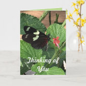 Boterfly Thinking of You Kaart (Gele Bloem)