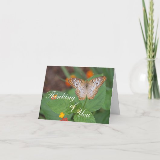 Boterfly Thinking of You Kaart (Voorkant)
