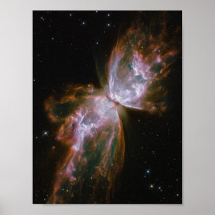 Boterfly-vorm planetaire nebula poster