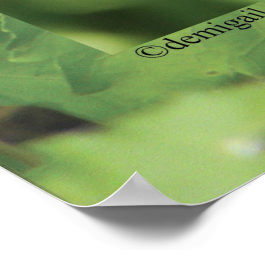 Boterfly Way 13 - Blijf online Poster (Hoek)