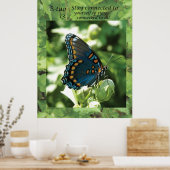 Boterfly Way 13 - Blijf online Poster (Keuken)