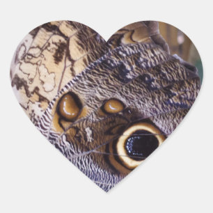 Boterfly Wing Heart Sticker