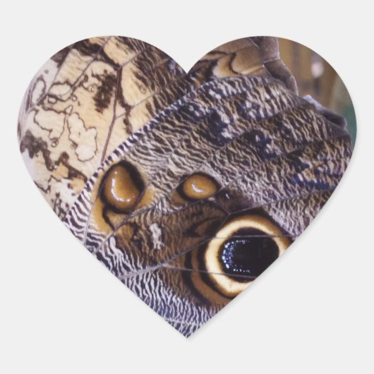 Boterfly Wing Heart Sticker (Voorkant)