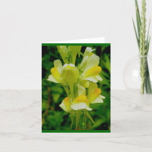 Boter'n Eggs Note Kaart