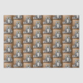 Botero's kattenpapier tissuepapier (Voorkant)