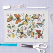  boterpapier voor het losmaken van de snijpagina tissuepapier (Craft)