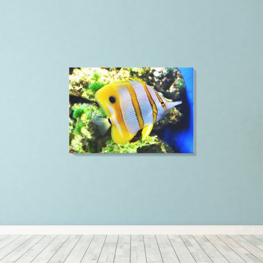 Botervis Canvas Afdruk (Insitu (Houten vloer))