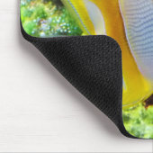 Botervis Muismat (Hoek)