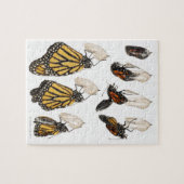 Botervlieg afkomstig van coccoon legpuzzel (Horizontaal)