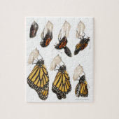 Botervlieg afkomstig van coccoon legpuzzel (Verticaal)