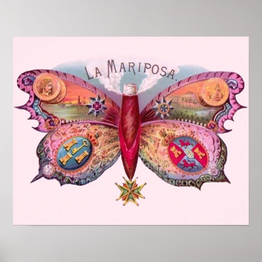 Botervlieg Antiek schilder Poster (Voorkant)