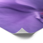 Botervlieg Bezoek roze en Paarse orchidebloemen Poster (Hoek)