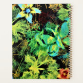Botervlieg en bloemkool Rodilius Planner (Achterkant)